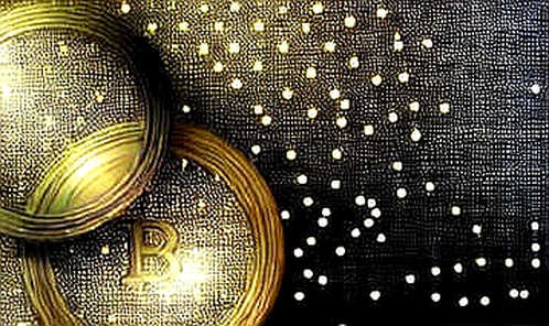 The Wiener Fall: A Forensic Analysis of Crypto's Latest Ponzi and What It Means for Regulation