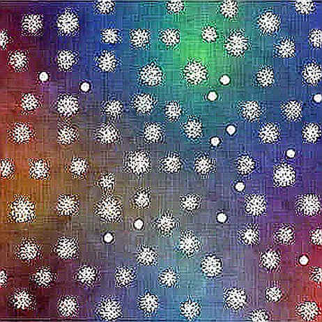 The Ghost in the Cryptographic Machine: Why AI Might Break Bitcoin Before Quantum Computers Do