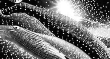 The Tape Whispers: Iran Prediction Markets Show 29% and 32.5% – But the Real Bet Is on Oracle Integrity